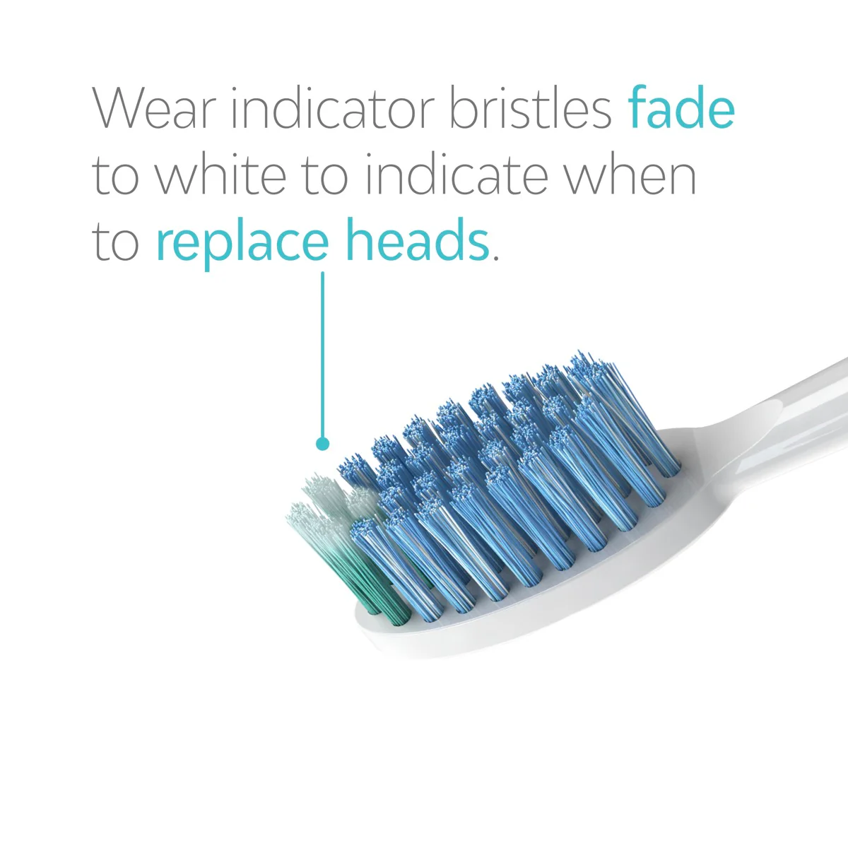 Whitening Toothbrush Heads - Image 7