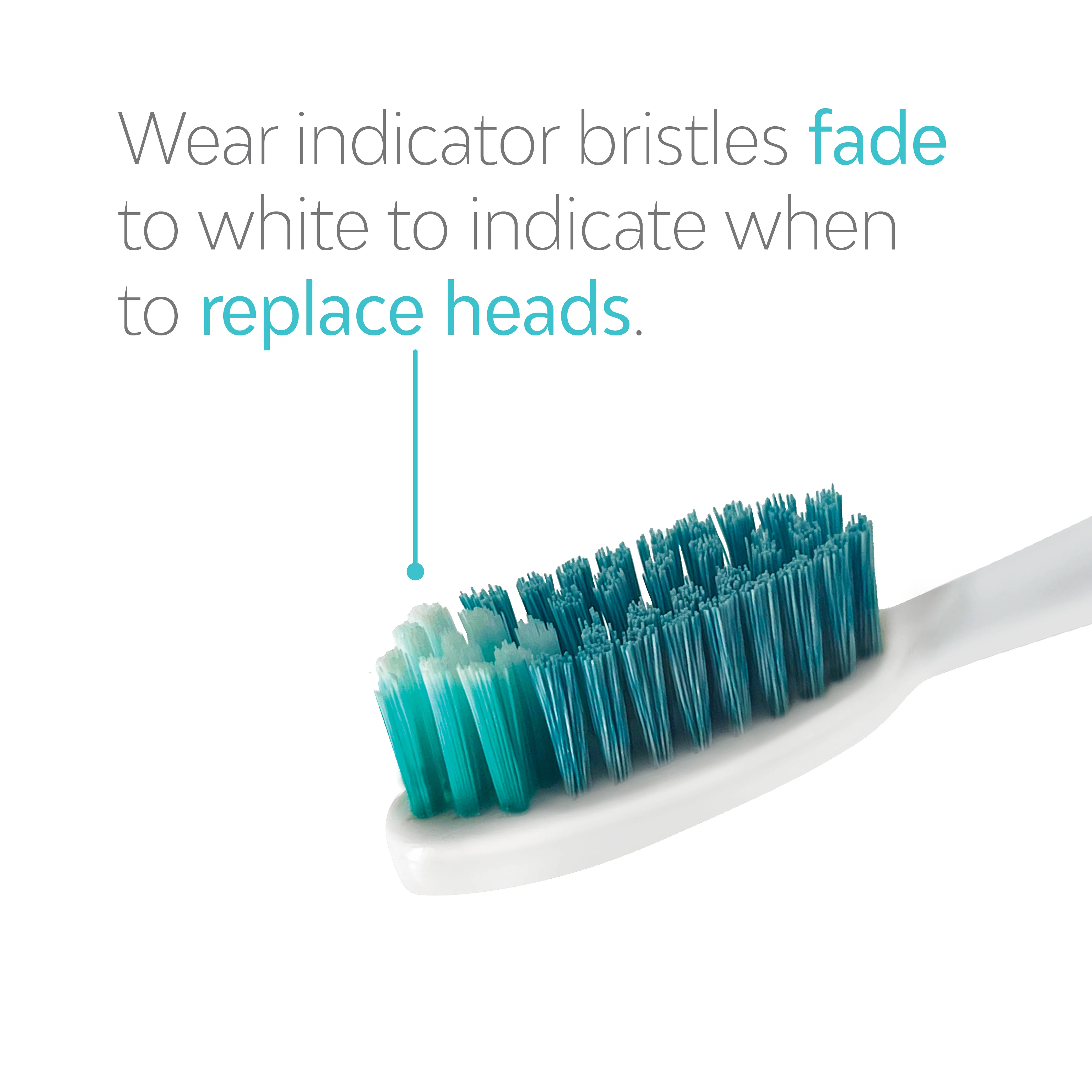 Whitening Toothbrush Heads - Extended Reach - Image 3